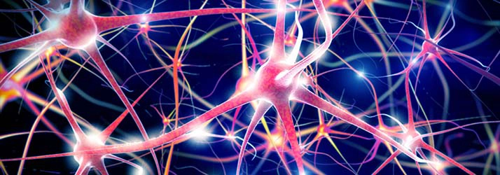 Chiropractic Towson MD Pinched Nerves