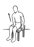 Scapular Depression exercise example.