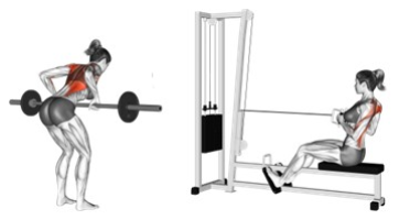 Seated and Standing rows exercise example.