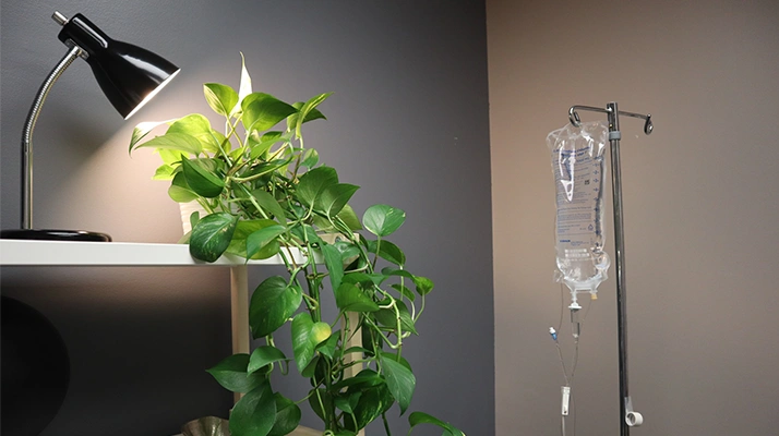 Chiropractor Towson MD bag of medicine with plants and a lamp on side.